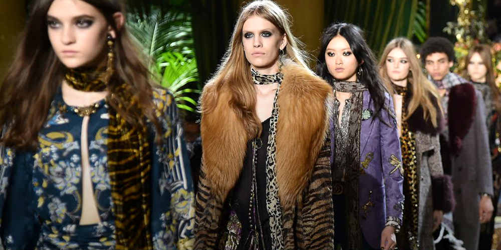 cavalli-ok